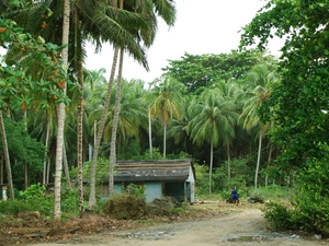 Baracoa, Kuba