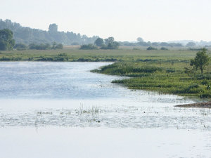 Główna bohaterka - Biebrza