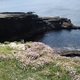 Kilkee