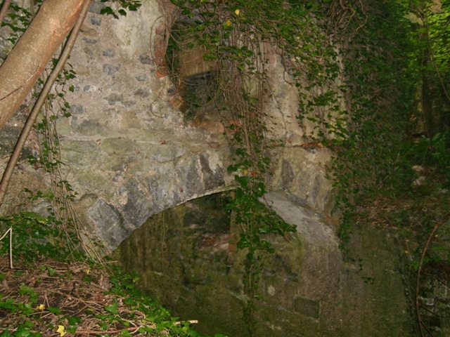 Irlandia Zachodnia