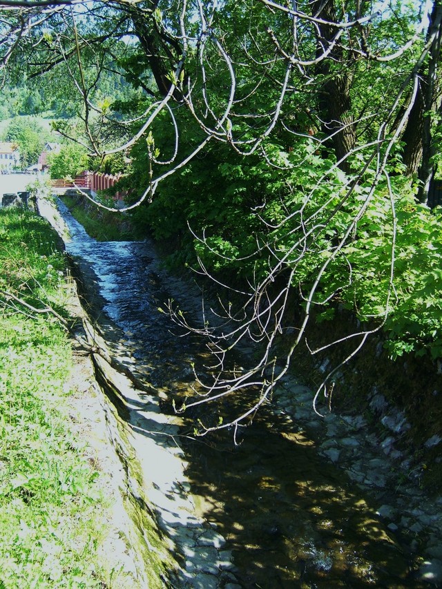 rzeczka 