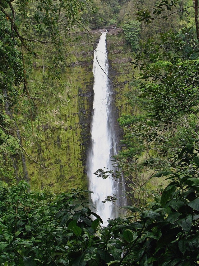 02 akaka falls 5