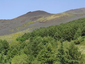 Etna  1 