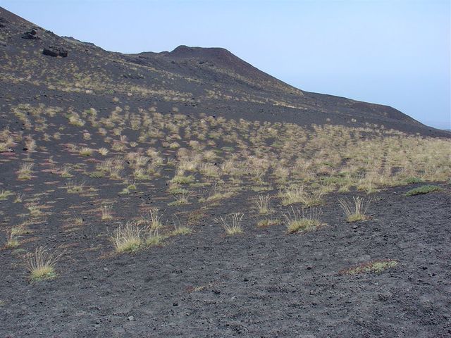 Etna  7 