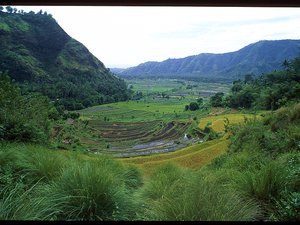 Indonezja