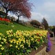 Kolorowy wiosenny Edynburg