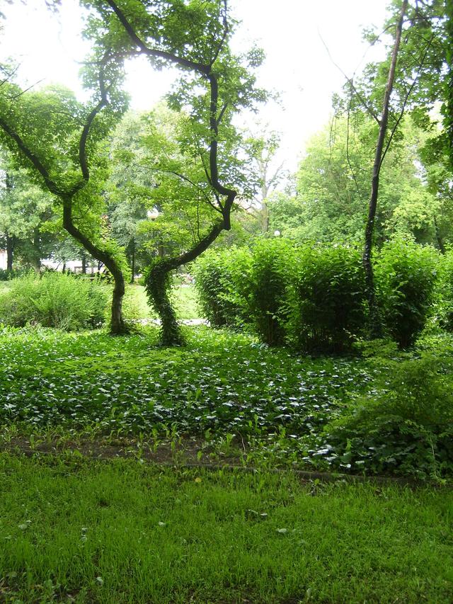 park-zielone szaleństwo