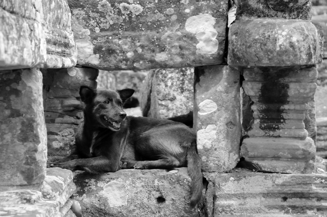 Angkor, Kambodża