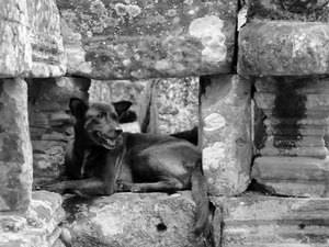 Angkor, Kambodża
