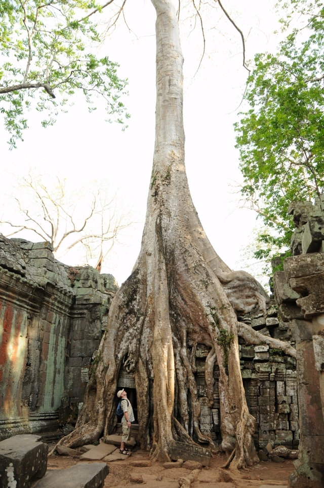 Angkor, Kambodża