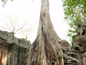 Angkor, Kambodża