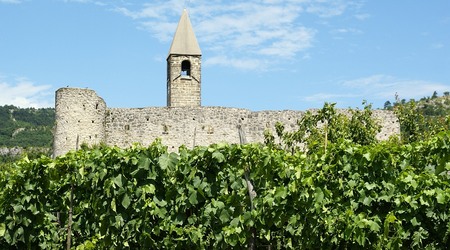 Hrastovlje kościół wśród winnic