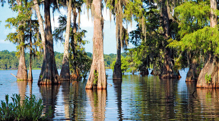 bagna Luizjany