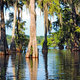 bagna Luizjany