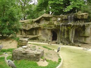 Zoo  27 