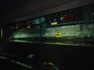 Zoo  41 - przekrój amsterdamskiego kanału