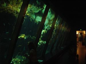 Zoo  46 