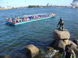 Mała syrenka  11 