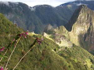 Machu Picchu w słońcu