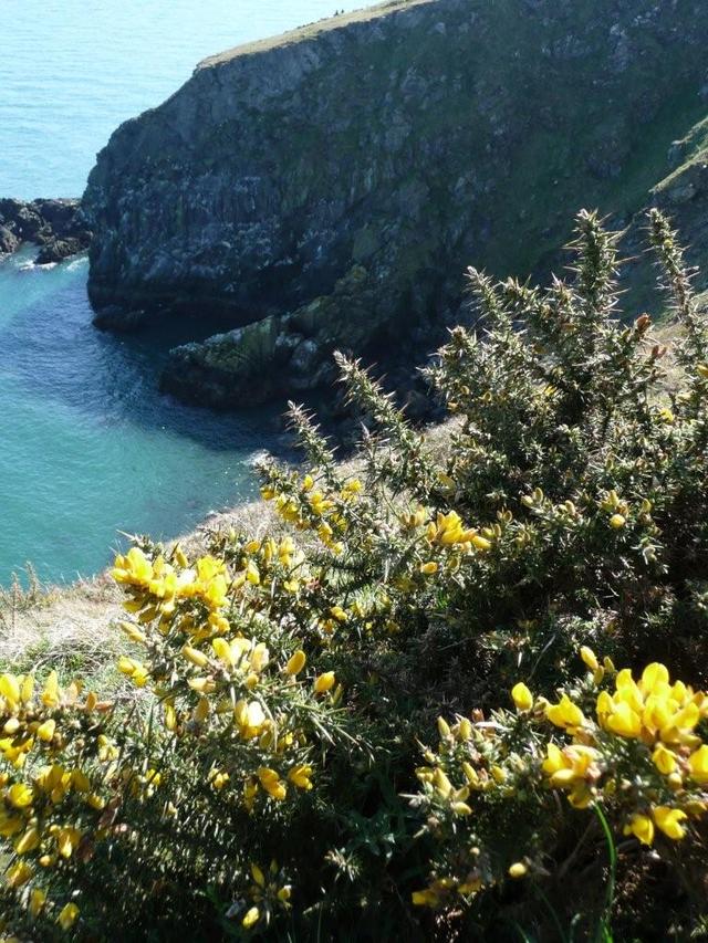 036 howth