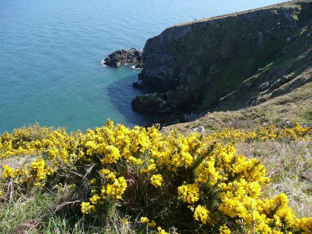 038 howth