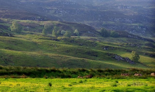okolice Loch Ness