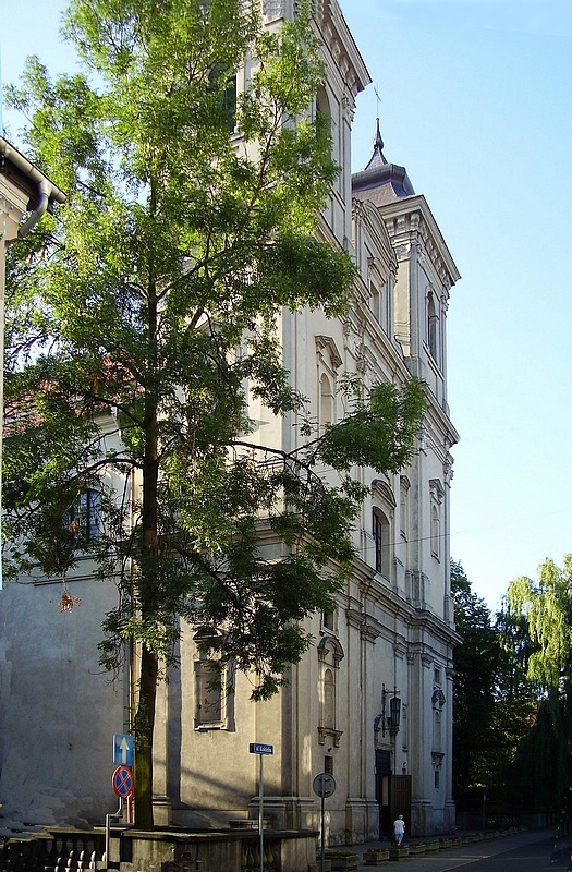 Kolegiata