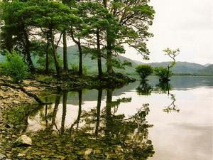 Killarney National Park