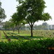 Cmentarz wojskowy nad Rzeka Kwai