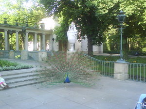 Dsc00048