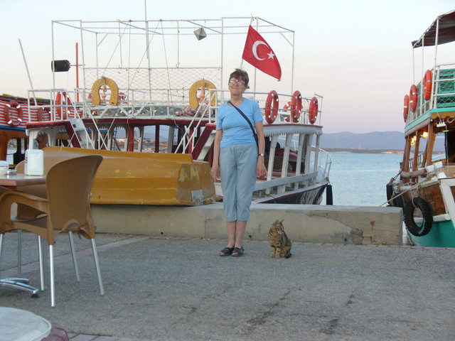 Port i kot w Didim