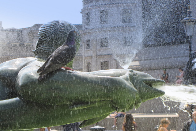 na trafalgar square
