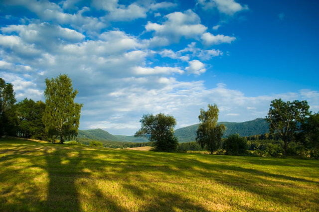 Pejzaż 