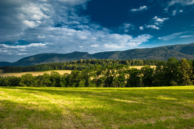 Pejzaż 