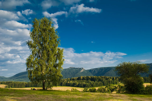 Pejzaż 