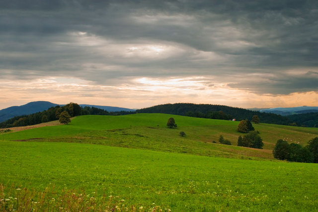 Pejzaż 