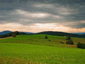 Pejzaż 