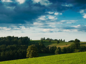 Pejzaż 