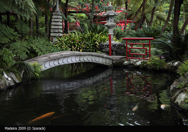 Jardim Tropical Garden