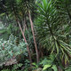 Jardim Tropical Garden