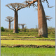 Madagaskar 