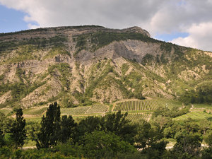 Dsc 3166 Winnice w dolinie rzeki Drome
