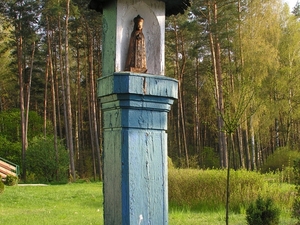 Foto Sylwester Nicewicz - Kozioł 