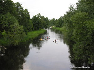 Foto Sylwester Nicewicz - Kozioł  