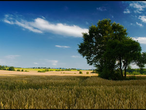 Pejzaż