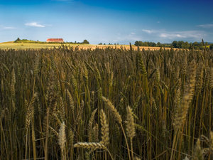 Pejzaż