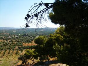 Festos-widok na dolinę Messara