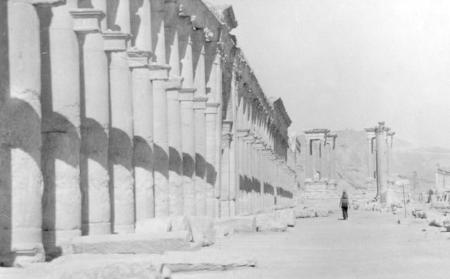 Palmyra i ja