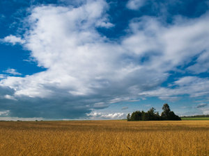 Bożkowicki  pejzaż 