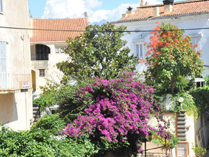 Dsc 4762 Calvi